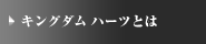 キングダムハーツとは