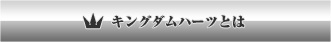 キングダムハーツとは
