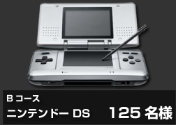 NINTENDO DS 125l